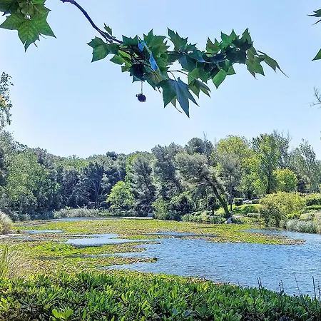 Appartement Les Rivages De Coudoulière-10 *
