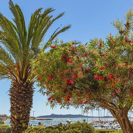 Les Rivages De Coudouliere-10 By Interhome * סיס-פור-לה-פלאז'